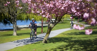 Biking along Queenstown lakefront spring