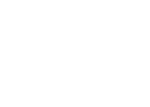 Rakau+Branding 03 1